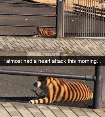 1723006100469.png