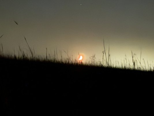 IMG_5491.jpeg