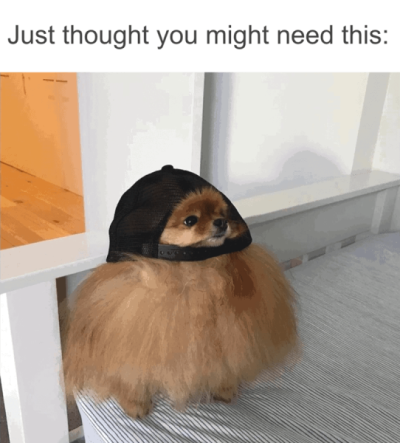 just-thought-might-need-this.png