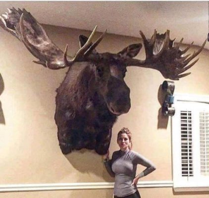 rack.jpg