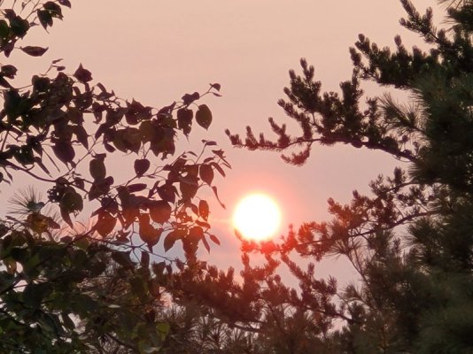 20240812_195217.jpg
