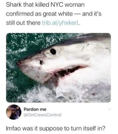 1723556233237.png