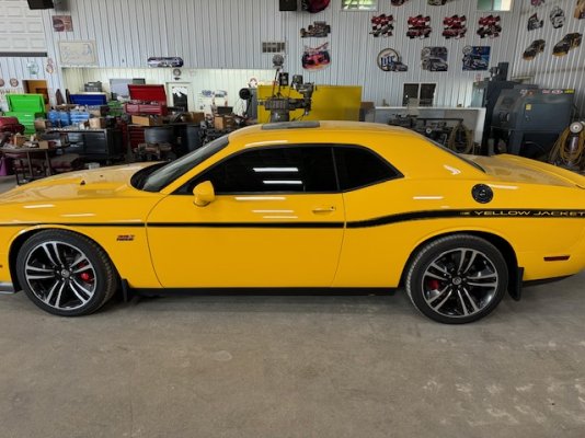Yellow jacket.jpg