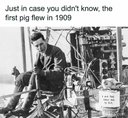 1723698592281.png