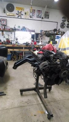 headers 006.jpg headers 006.jpg