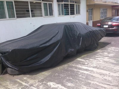 DSC_0118.jpg DSC_0118.jpg