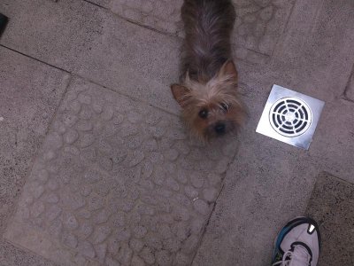 DSC_0123 (1).jpg DSC_0123 (1).jpg