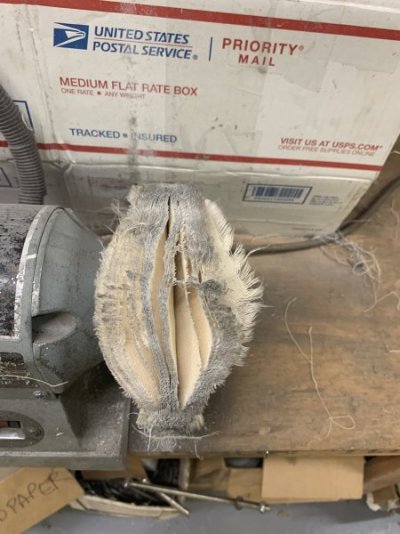 1D6B669C-1AA2-4AA3-B75C-98695EA207B1.jpeg 1D6B669C-1AA2-4AA3-B75C-98695EA207B1.jpeg