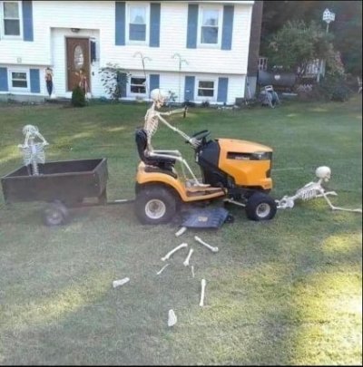 1705774807380.jpeg