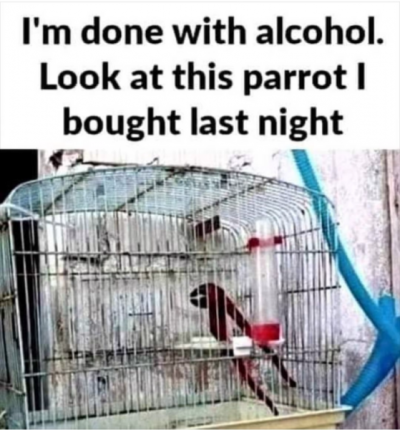 1706467067325.png