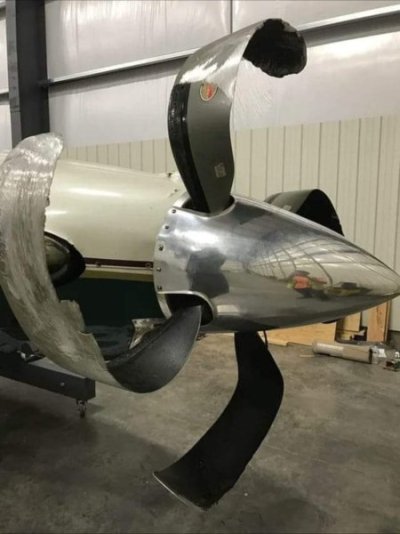 787.jpg
