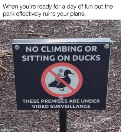1705485170275.jpeg