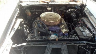 IMG_20140630_153053_501.jpg IMG_20140630_153053_501.jpg