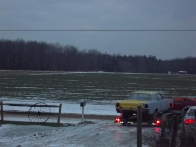 Picture 036 (Medium).jpg Picture 036 (Medium).jpg