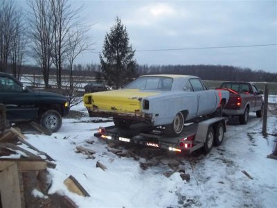 Picture 040 (Medium).jpg Picture 040 (Medium).jpg