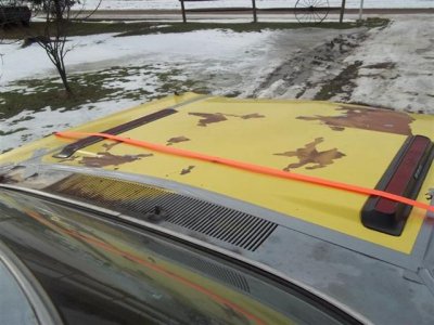 gggg (Small) (2).jpg gggg (Small) (2).jpg