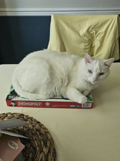 20240910_125633.jpg 20240910_125633.jpg