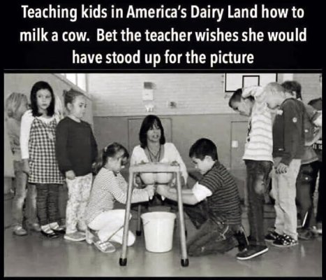 milking-lessons.jpg