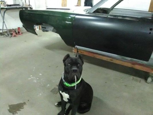 rebelgtx.jpg rebelgtx.jpg