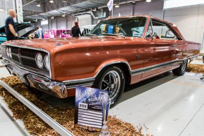 IMG_9764.jpg IMG_9764.jpg