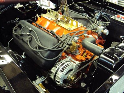 hemi in.jpg