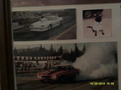 Dog Black Lab Duke.jpg