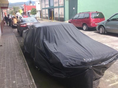 DSC_0117.jpg DSC_0117.jpg