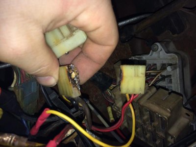 photo 1.jpg photo 1.jpg