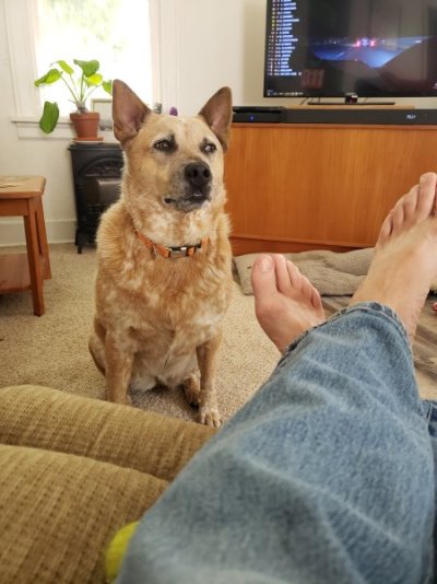 20240615_174946 (1).jpg