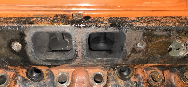 20241004_104724.jpg 20241004_104724.jpg