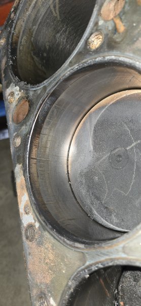 20241004_105250.jpg 20241004_105250.jpg