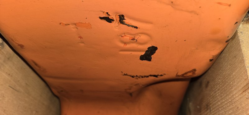 20241004_105432.jpg 20241004_105432.jpg