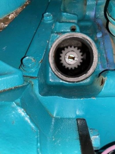 76A4C40E-60E9-4DC4-9FA6-5C609959C1E6.jpeg 76A4C40E-60E9-4DC4-9FA6-5C609959C1E6.jpeg