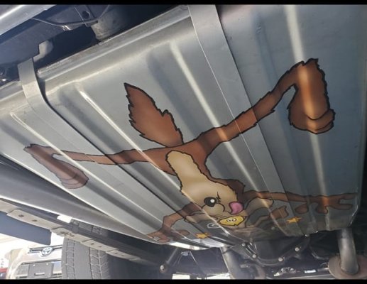 Wile E. Coyote (9).jpg