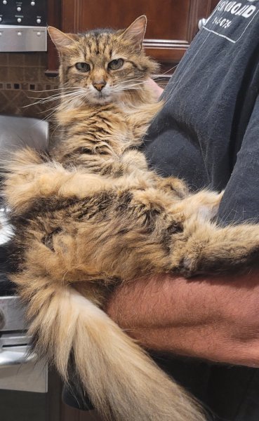 20241004_203109 x.jpg