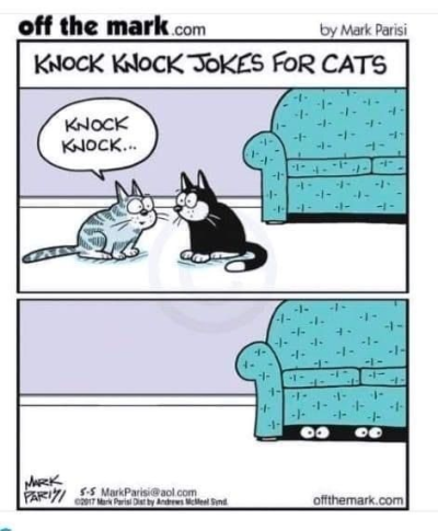 1728626159757.png
