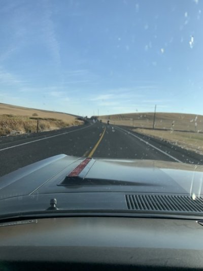 978AADFC-8CEC-473A-83D3-11F5C338F47F.jpeg 978AADFC-8CEC-473A-83D3-11F5C338F47F.jpeg