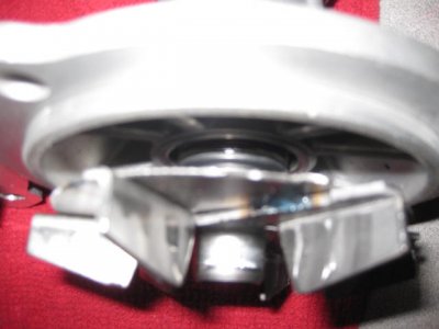 MilodonBlade.JPG MilodonBlade.JPG