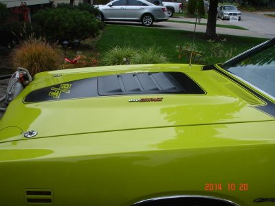 71 charger-new pics 019.jpg