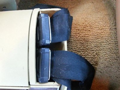 seat belt.jpg seat belt.jpg
