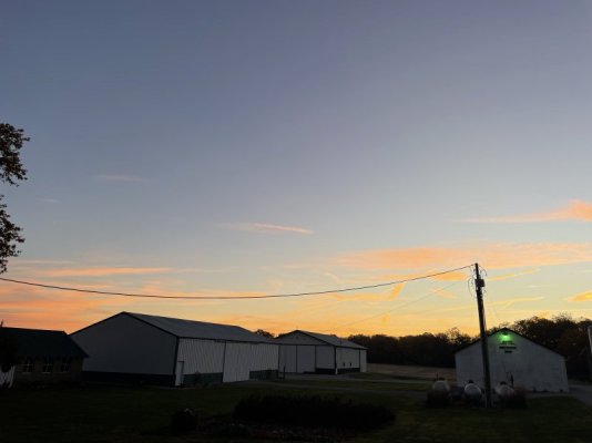 IMG_4199.jpeg