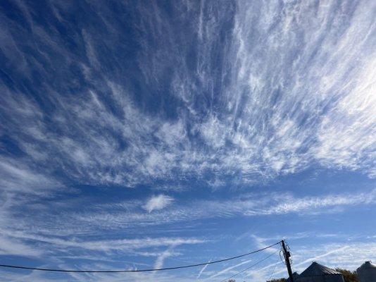 IMG_4200.jpeg