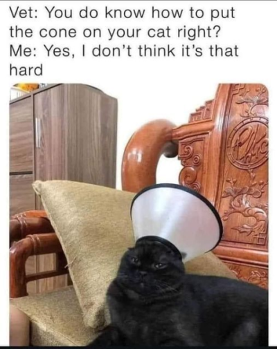1729874946499.png