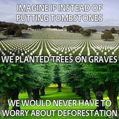 1729897678620.png