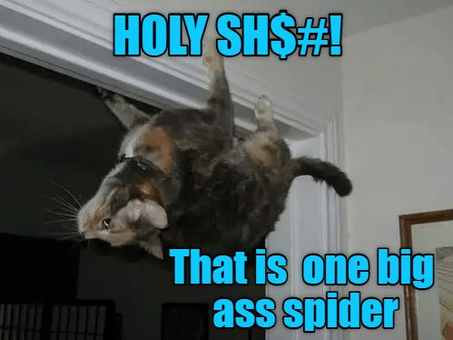 1730134076463.png
