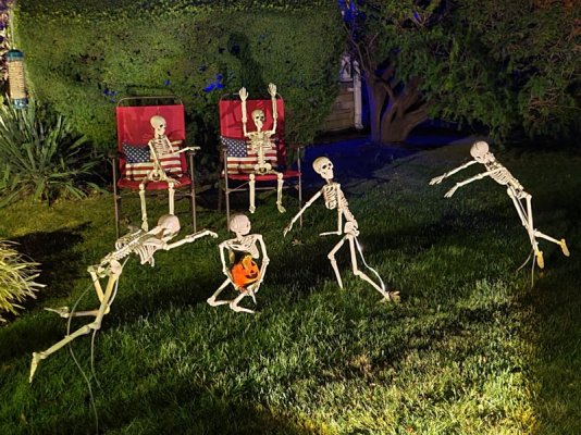 20241020_192940.jpg 20241020_192940.jpg