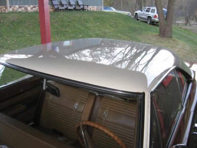 IMG_2155.jpg