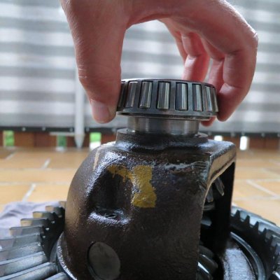 IMG_4971-1.jpg IMG_4971-1.jpg