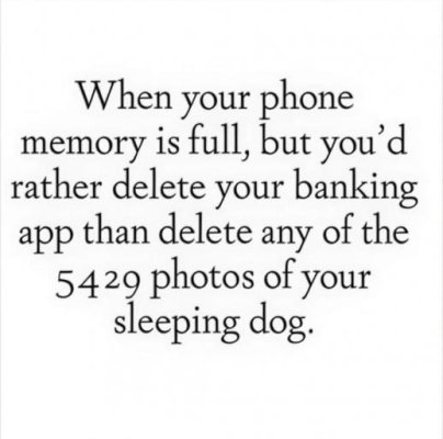 IMG_0478.jpeg