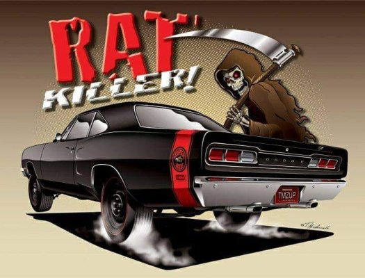 Mopar Art - '69 Dodge Coronet Super Bee (2).jpg